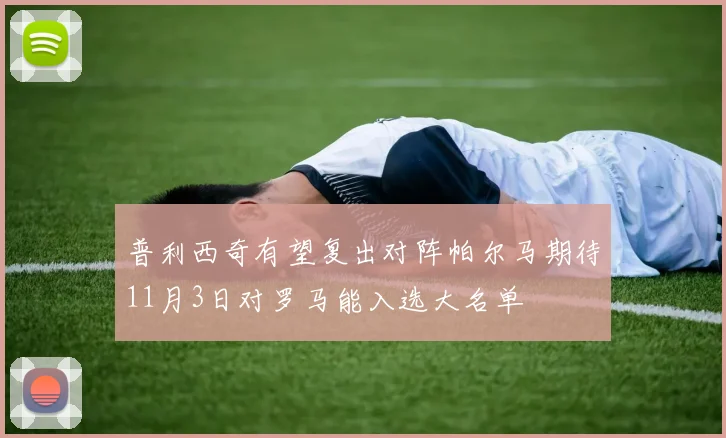 普利西奇有望复出对阵帕尔马期待11月3日对罗马能入选大名单